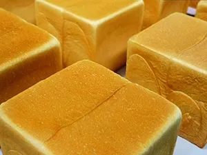 Accompagnement de Tanghe Food dans la création d’une unité de production boulangère automatisée de 20 000 tonnes par an